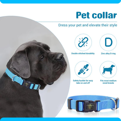 4-in-1 Pet Grooming Kit – Hair Remover, Shedding Brush, Nail Clippers & Dog Collar