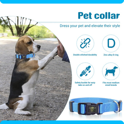 4-in-1 Pet Grooming Kit – Hair Remover, Shedding Brush, Nail Clippers & Dog Collar