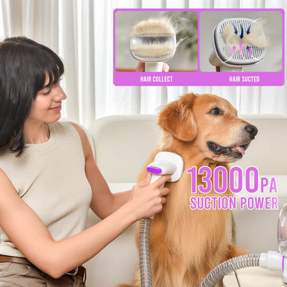 Dog Grooming Vacuum Kit – All-in-One Pet Grooming & Shedding System with 2.5L Dust Bin